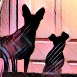 Suero de reducción rápida Plexaderm 18 aplicaciones **VAINAS** NUEVO EN CAJA