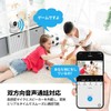 ELEPRO Surveillance Camera, Pet Camera, Color Night Vision, PTZ Auto