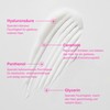 Pomélo+Co. Shine Therapy Hair Mask 100 ml - 8% Illumination