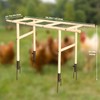 Extra Large Chicken Perch Toys, Wooden Chick Perch Stand with