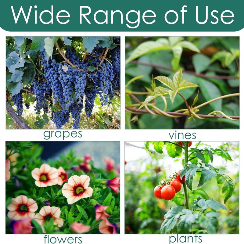 JCUGSBS 50 Small Plant Clips, Plant Clips for Climbing Plants,