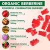 BVIVLOO 2 Packs Berberine Gummies,Sugar Free 2000mg High Potency Berberine