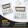 48 Pcs. BSPP Cap & Plug Assortment Hydraulic Adapter Fitting