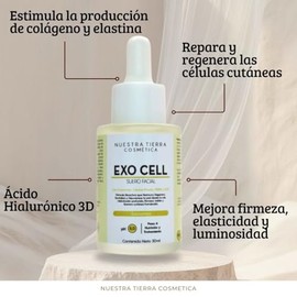 Nuestra Tierra Cosmtica Exo Cell Suero Facial con Exosomas Vegetales, pH 5.0, para Todo Tipo de Piel, Tratamiento Rejuvenecedor Da y Noche, 30ml      
