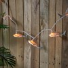 Northlight Shark Indoor Outdoor Patio Light Set - 6' -