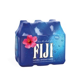 FIJI Natural Artesian Water, 16.9 Fl Oz Bottle (6-Pack)