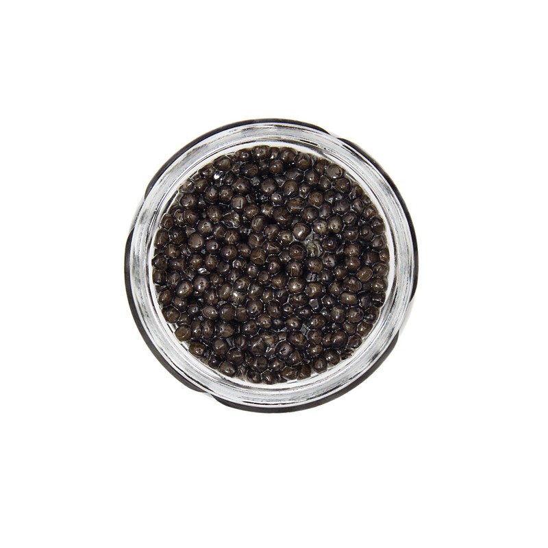 OVERNIGHT GUARANTEED! Fresh Siberian Sturgeon Osetra Baerii Caviar 1 oz