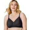 Wonderbra Womens Plus Wireless Full Coverage Bra, BLACK, 40 DD