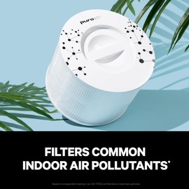 PuroAir 240 Replacement Filter - Genuine Puro Air 240 Filter Replacement - Official PuroAir Air Purifier HEPA Filter with CarbonTech Filters 99.9% of Pollen, Dust, Pet Dander, Smoke, Odors (4PK)