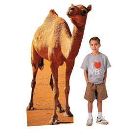 39" x 71" Egyptian VBS Camel Life-Size Cardboard Cutout Stand-Up, Vacation Bible School Supplies