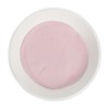 Moro Blood Orange Extract Powder Morosil Powder 200g 1ea /