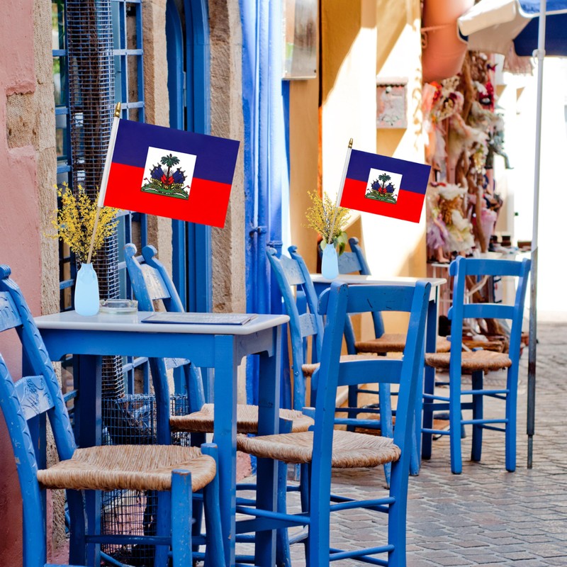 WEITBF 12 Pack 8×12 Inch Haiti Flags Haitian Flags on