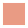 Shiseido SMK FACE INNERGLOW POWDER 05