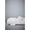 Zack 1041872 Bed Sheet, Extra Wide, Organic Quality, White, 180