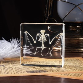 Taxidermy Bat Skeleton, Real Bats Animal Bones Specimens Resin Animals for Science Classroom Science Education, Bat Decor Great Gift for Taxidermy, Animal Skull, Oddities, Biology (3x3x1 inch)