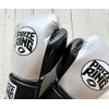PRIZE RING Boxing Gloves "Professional SS" Silver/Black (14oz)