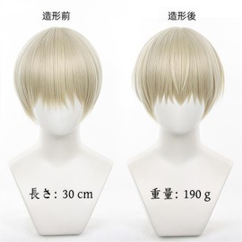 GhostNef Windbreaker WIND BREAKER Cosplay Wig, Ren KajiRen, Cosplay Wig, Heat Resistant, Wig Net Included, For Cosplay, Event, Halloween Christmas Costume