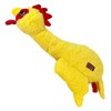 Kong Pollo Scruffs Med/Gde