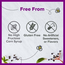 Zarbee''s Liquid Daily Immune Support, High Concentrate Liquid, with Real Elderberry Vitamin C & Zinc, Black Elderberry Flavor, For Daytime Use, 8 Fl Oz, brand is Zarbee''s