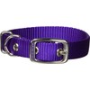 Hamilton Single Thick Nylon Buckle Dog Collar for Small &