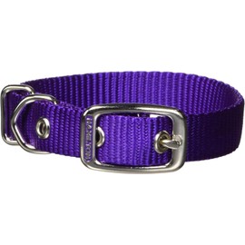 Hamilton Single Thick Nylon Buckle Dog Collar for Small & Medium Dogs, 5/8" Wide x 14" Neck, Purple