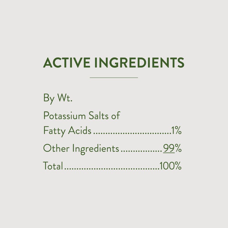 Garden Safe 32 oz. Insecticidal Soap Ready-to-Use, 1 Count (Pack