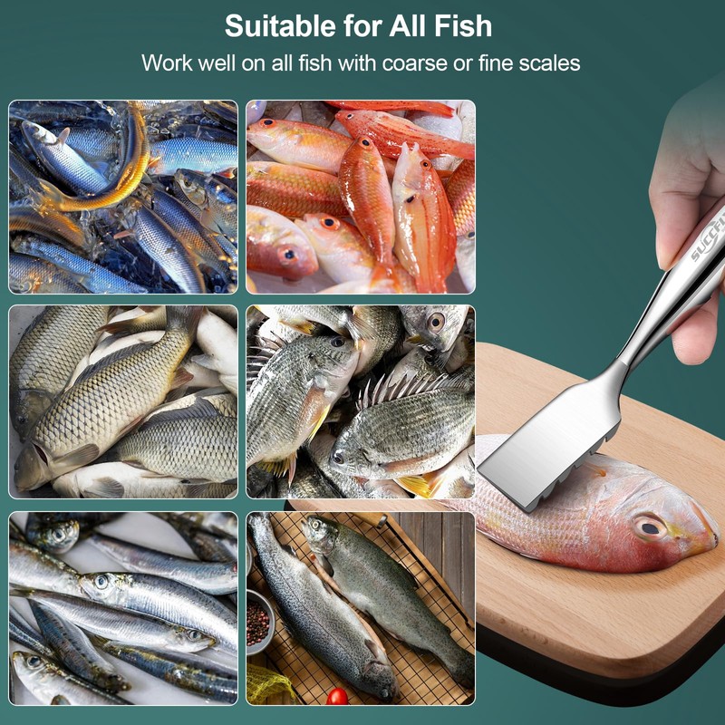 SUCCFLY Fish Scaler Set, Premium Fish Descaler Tool, Stainless Steel