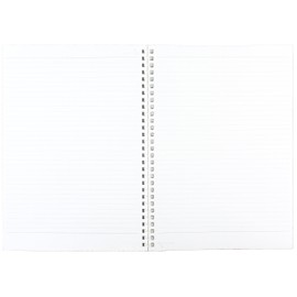 Lihit Lab Twist Ring Notebook, 9.9 x 7.3 Inches, Clear (N1608-1)