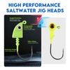 Eupheng Saltwater Jig Heads Pack of 15, Super Sharp Black