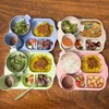 shopwithgreen Wheat Straw Dinnerware Cutlery Set, 20 PCS Kids Toddlers