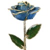 24k Gold Rose - Real Rose Dipped in Gold (Light