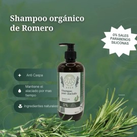 Shampoo Anticaspa Y Post Alaciado Asly, 0%sal,parabenos