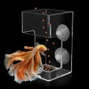 Dbeans Flourithing Fish Feeder Square-Shaped Automatic Fish Feeders Reduced Filter