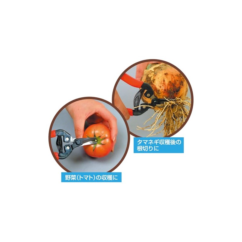龍宝丸 先曲り収穫鋏 170mm №SR-001