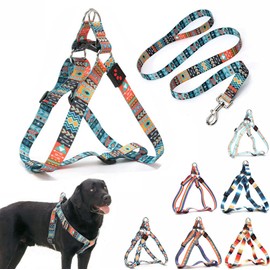 Dog Harness and Leash Set, Pretty Pattern No-Pull Pet Halter Puppy Vest Outdoor Easy Walk for Small Medium Large Breed Pug Bully Mastiff Dogs Female Male, Ethnic L