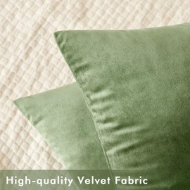 SLOZZI Set of 2 Velvet Cushion Covers, Household Decorative Cushion Cover, Soft Sofa Cushion for Sofa, Bedroom, Living Room, 40 x 40 cm, Green