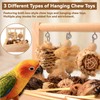 Wooden Bird Parrot Foraging Toys Box with Perch Stand, Cage