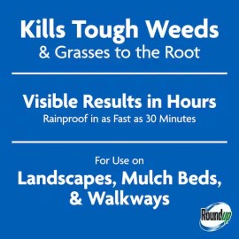 Roundup Weed & Grass Killer with Pump 'N Go 2 Sprayer Kills The Roots - 1.33 Gal