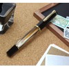 Pelican Fountain Pen Medium Fine Point Marble Brown Classic M200
