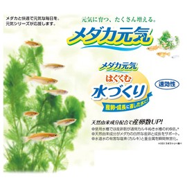 Gex Medaka Lively Water Conditioner, None