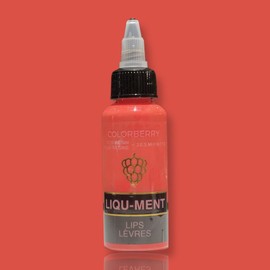 COLORBERRY LIQU-MENT – Liquid Pigment for JESIN, KERACAST, and Casting Powders – Water-Based Colorant for DIY Art, Crafts, and Resin Projects – 50ml Bottle (LIPS)