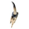 Southwest Longhorn Cow Steer Skull With Texas Lone Star State