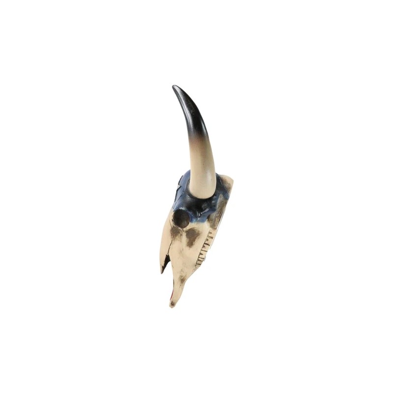 Southwest Longhorn Cow Steer Skull With Texas Lone Star State