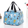 Nanxson Lunch Bag, Waterproof Picnic Bag, Insulated Bag for Travel,
