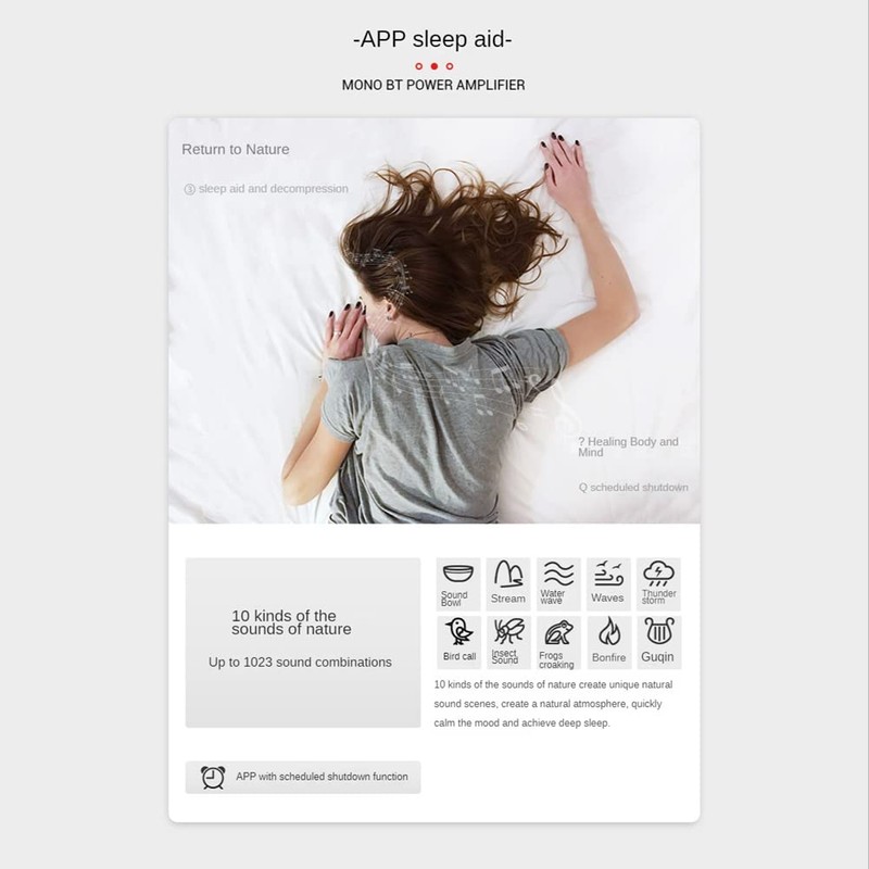 Comphic Mono 100W Bluetooth Audio Amplifier Board with TWS Box