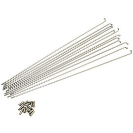 GRK #12 Stainless Steel Spokes (12 pieces) with Brass Nipple (#12 x 279mm)