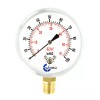 CARBO INSTRUMENTS 2-1/2" Capsule Gauge 0-60oz/0-100in H2O Range 1/4" NPT