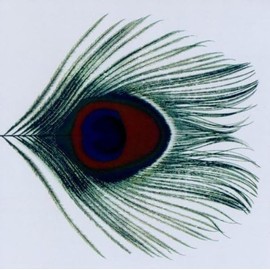 Apple Venus: VOLUME 1