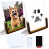 Green Pollywog | Wood Base Pawprint Frame Kit | (2)