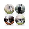 4 x Round Border Collie Coasters - Sheep Dogs Pets